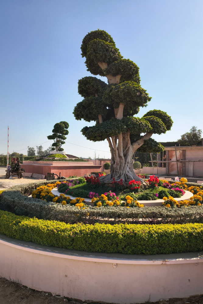 Luxury Villa in Lucknow